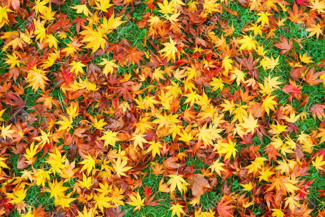 saison automne puzzle en ligne