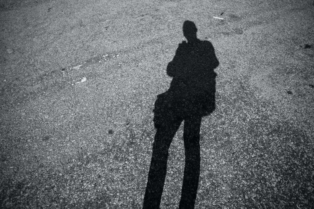 stín osoby na šedé asfaltové silnici během dne skládačky online
