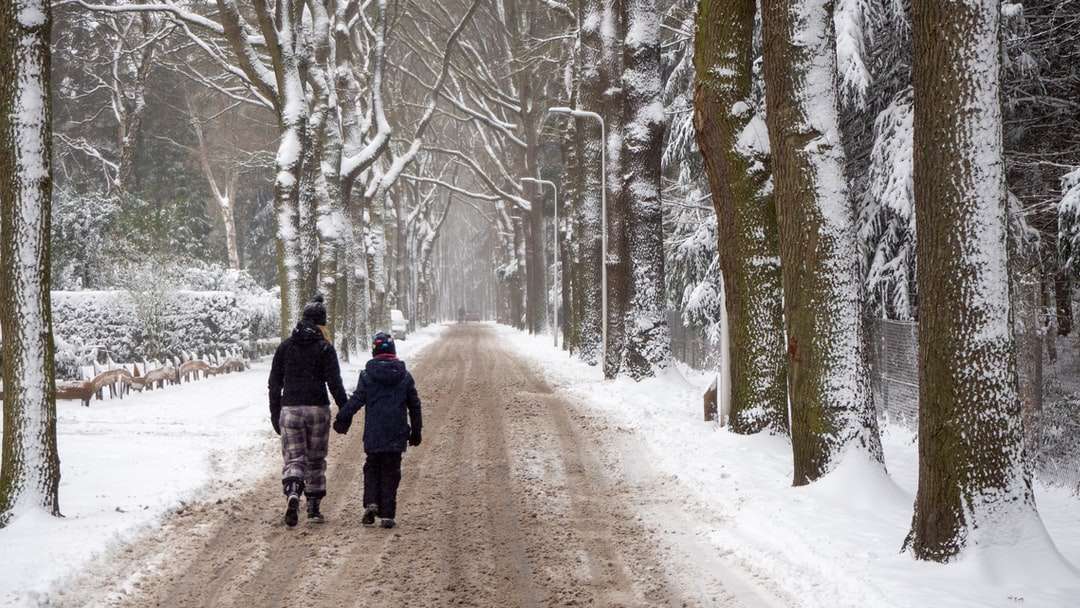 2 osoby kráčející po zasněžené stezce mezi stromy online puzzle