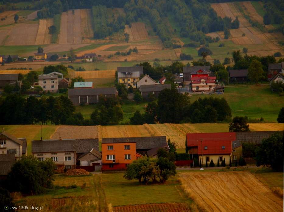 Πολωνικό χωριό online παζλ