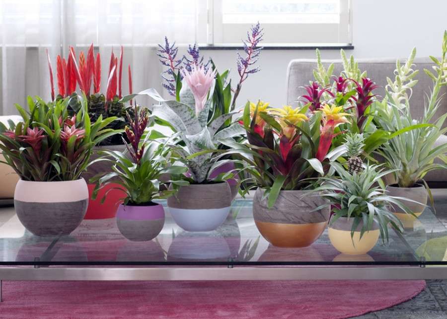 flores em vasos quebra-cabeças online