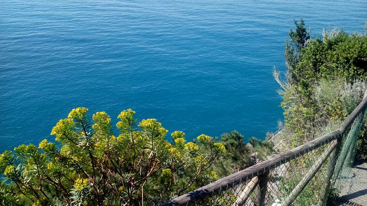 Растения в Cinque Terre онлайн пъзел