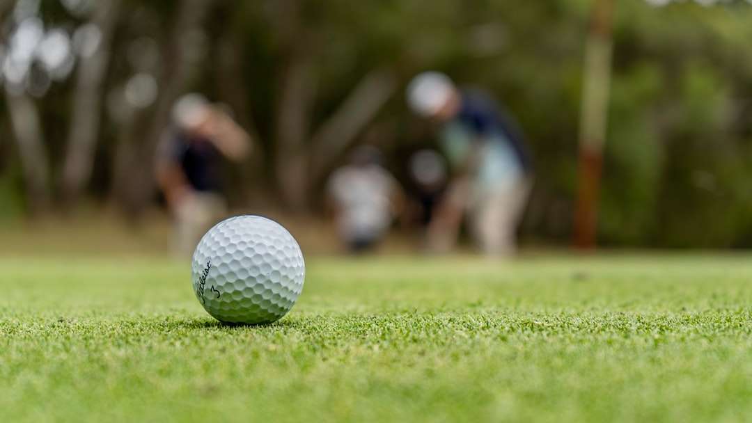 λευκή μπάλα γκολφ στο πράσινο γρασίδι πεδίο κατά τη διάρκεια της ημέρας online παζλ