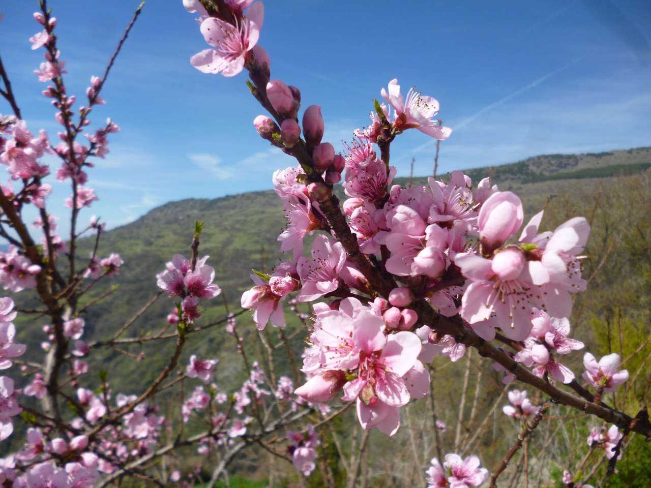 Пролет в Испания онлайн пъзел