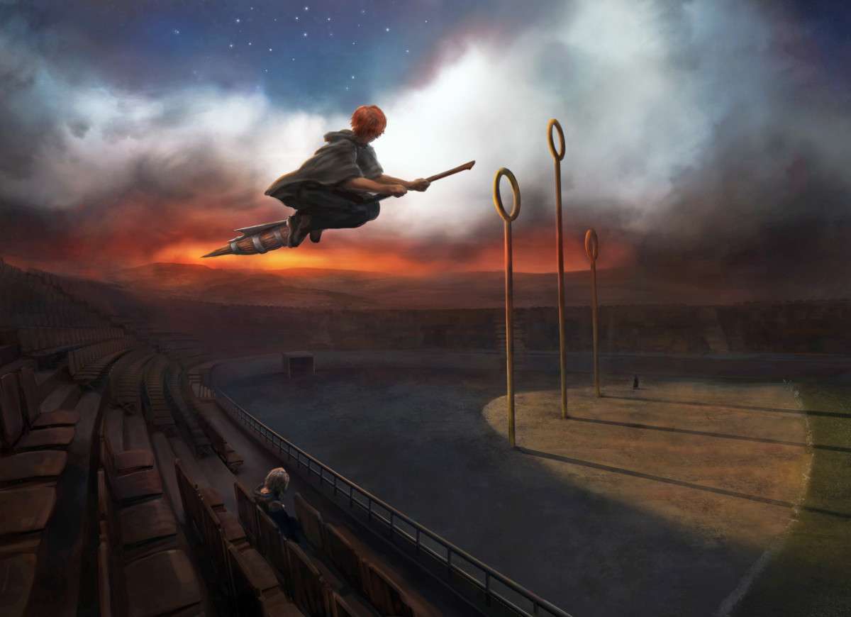Campo de Quidditch rompecabezas en línea