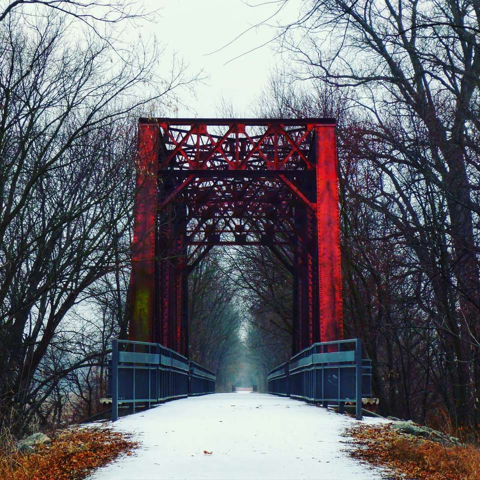 puente rojo sobre suelo cubierto de nieve rompecabezas en línea