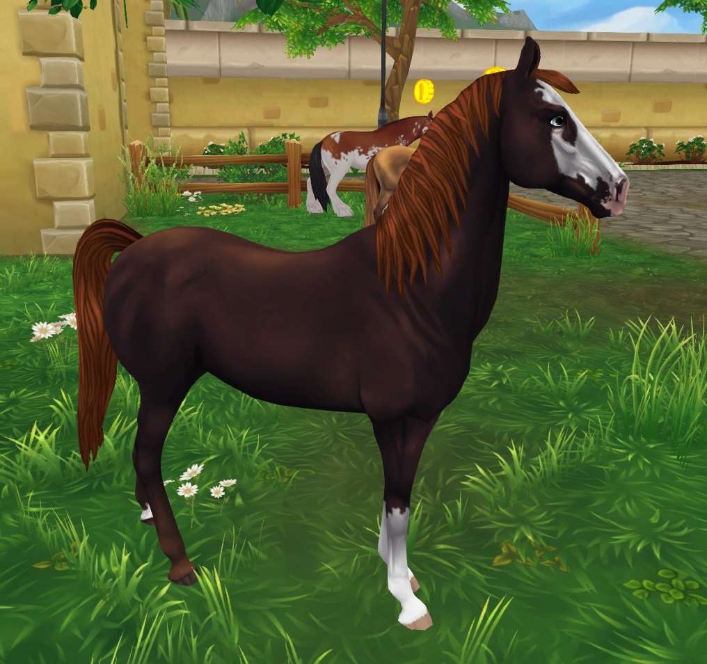Кінь Марварі із зоряної стайні онлайн пазл
