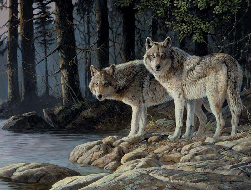 dois lobos quebra-cabeças online