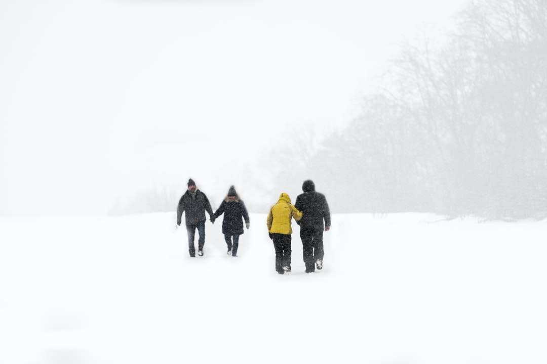 grupo de pessoas caminhando em terreno coberto de neve quebra-cabeças online