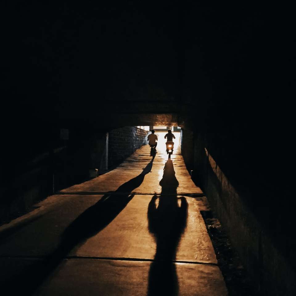 σιλουέτα 2 ατόμων που περπατούν στο μονοπάτι κατά τη διάρκεια της ημέρας online παζλ