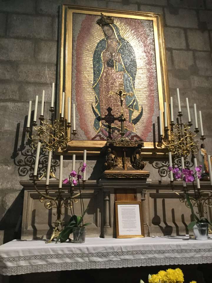 Notre Dame Mexiko Online-Puzzle