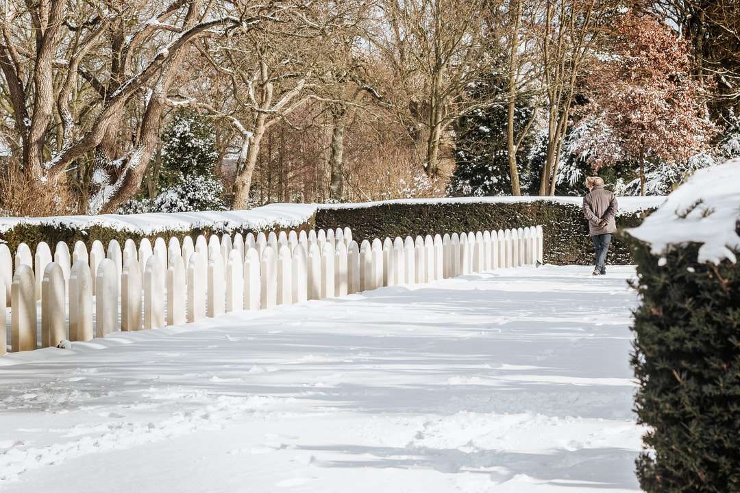 άτομο με μαύρο σακάκι περπάτημα σε χιονισμένο μονοπάτι online παζλ