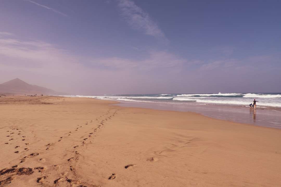 spiaggia di sabbia marrone sotto il cielo blu durante il giorno puzzle online