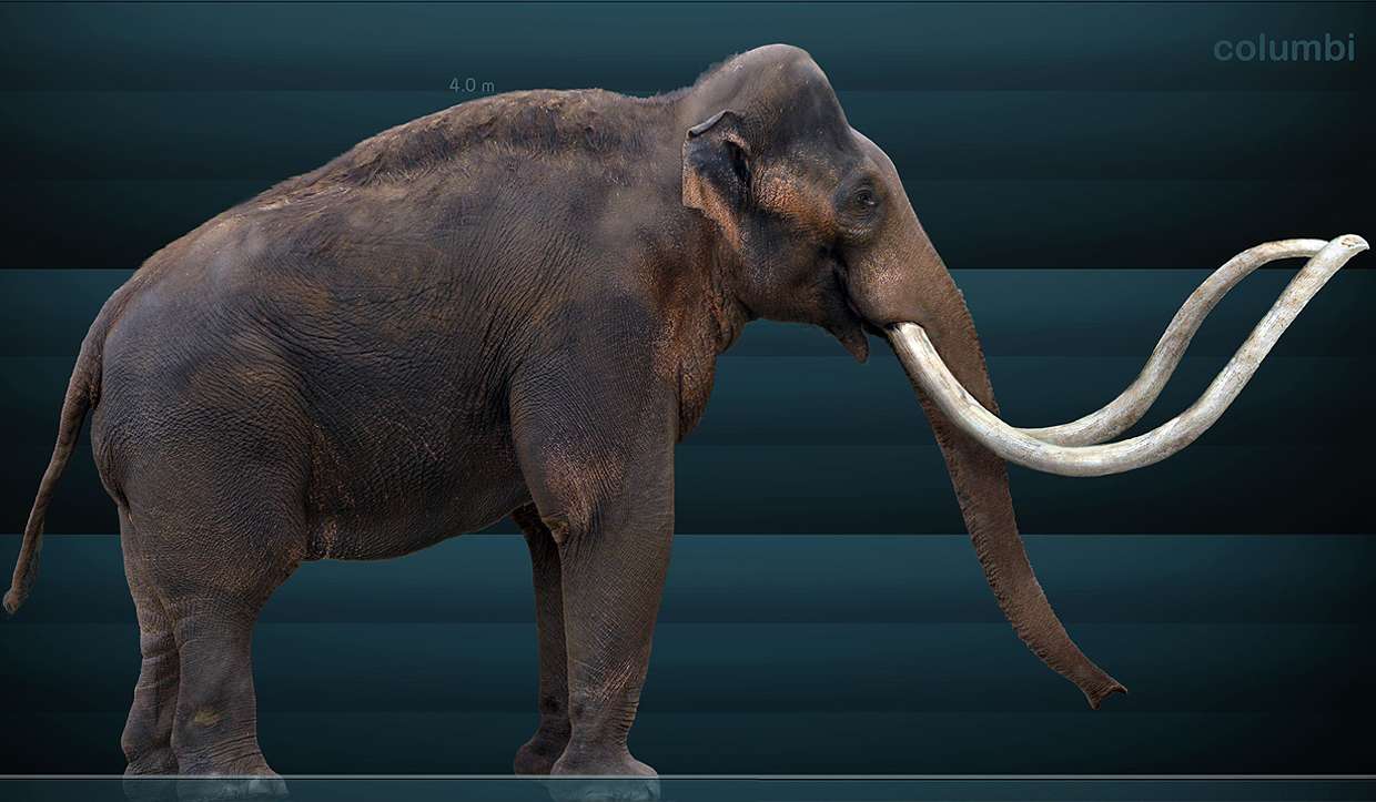 Kolumbijský mamut skládačky online