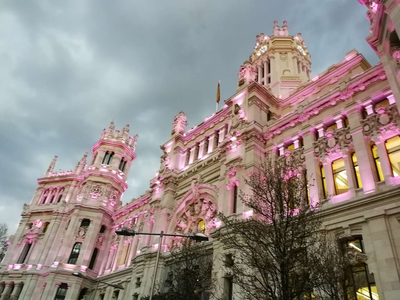 Μαδρίτη σε ροζ χρώμα online παζλ