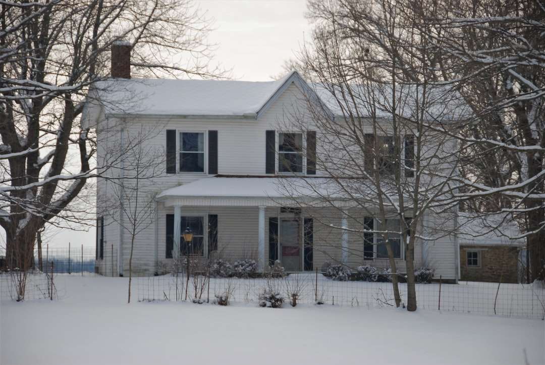 casa de madeira branca e cinza perto de árvores nuas durante o dia quebra-cabeças online
