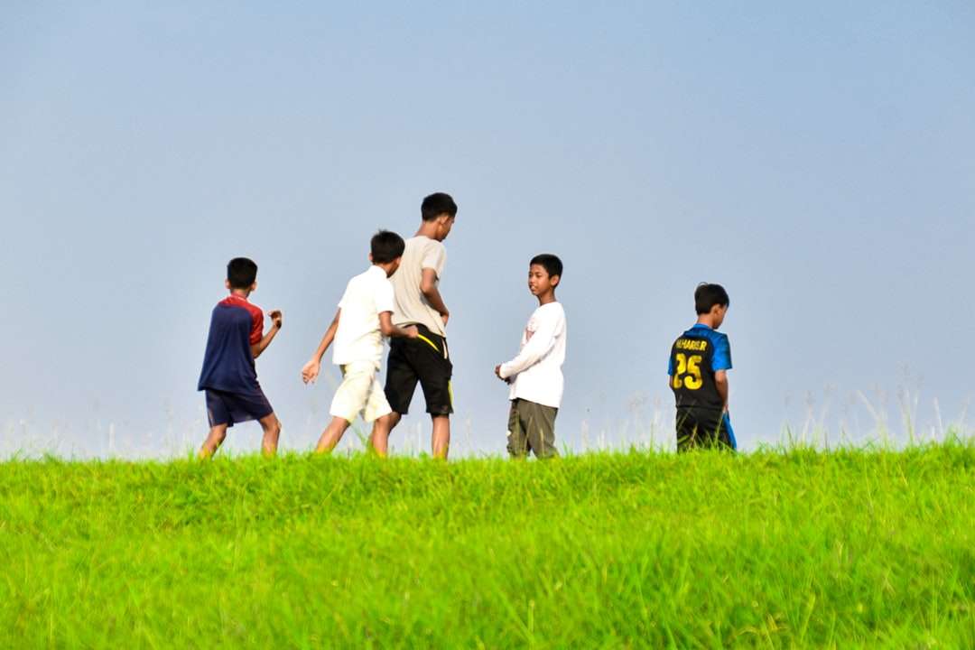 ομάδα ανθρώπων που στέκονται στο πράσινο γρασίδι πεδίο κατά τη διάρκεια της ημέρας online παζλ