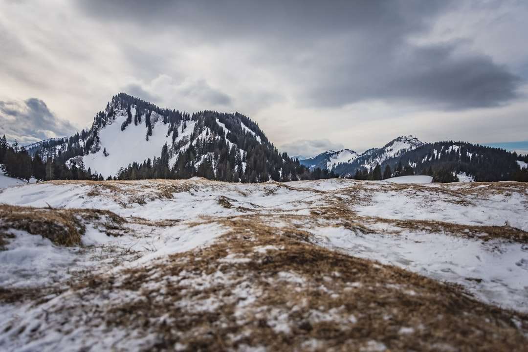 заснежена планина през деня онлайн пъзел