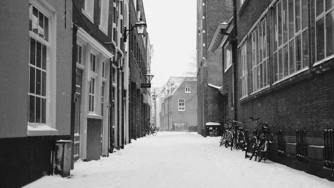 gråskalefoto av snötäckt väg mellan byggnader pussel på nätet