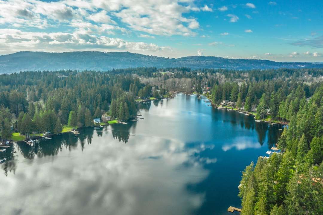 зелени дървета близо до езеро под бели облаци и синьо небе онлайн пъзел