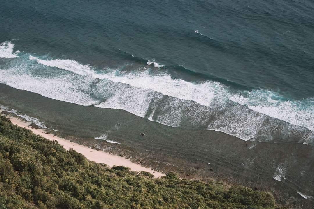 vista aérea de árvores verdes ao lado do corpo d'água quebra-cabeças online
