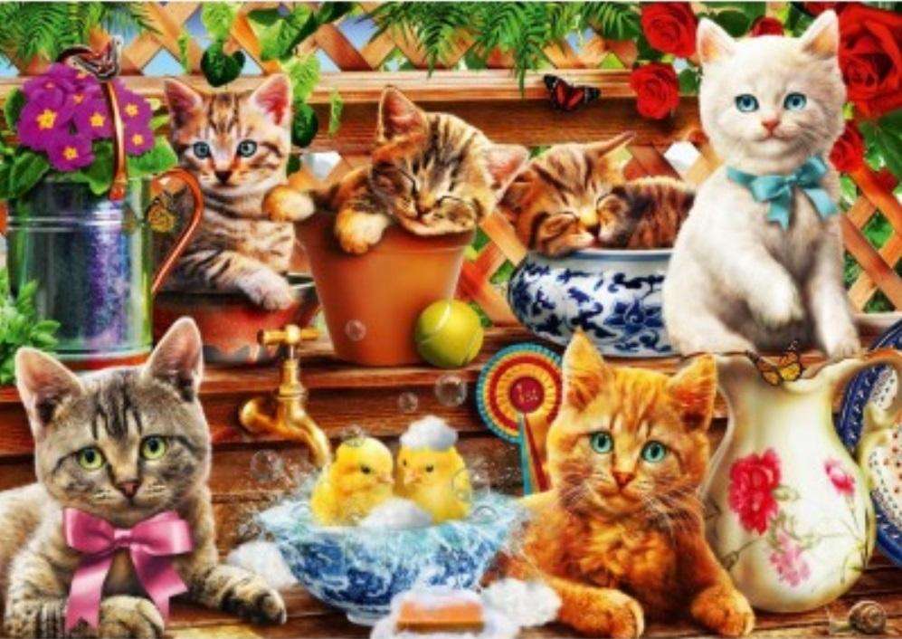 pisici .... jigsaw puzzle online