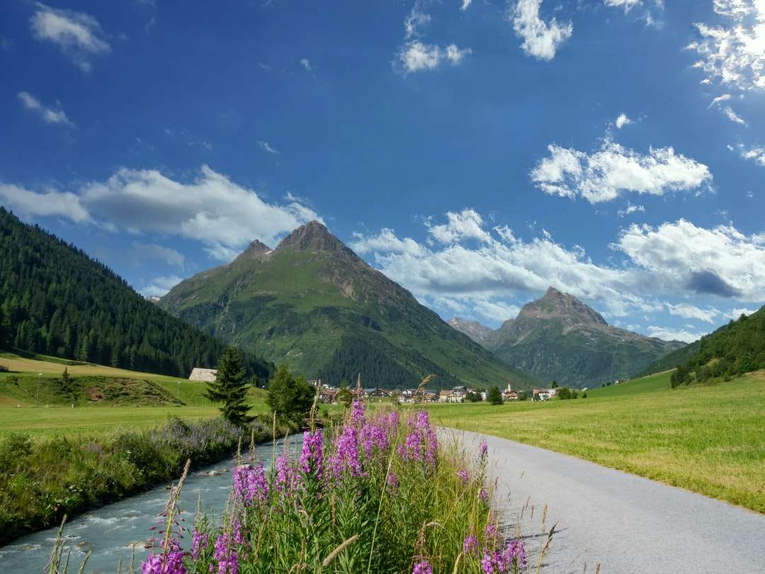 campo di fiori viola vicino alla montagna verde sotto il cielo blu puzzle online