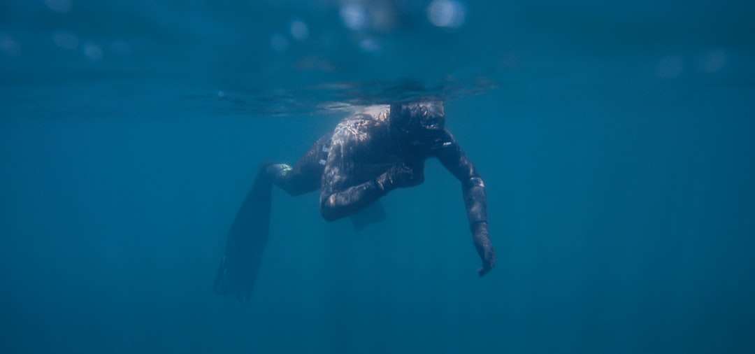 Person im schwarzen Neoprenanzug, der im Wasser schwimmt Puzzlespiel online