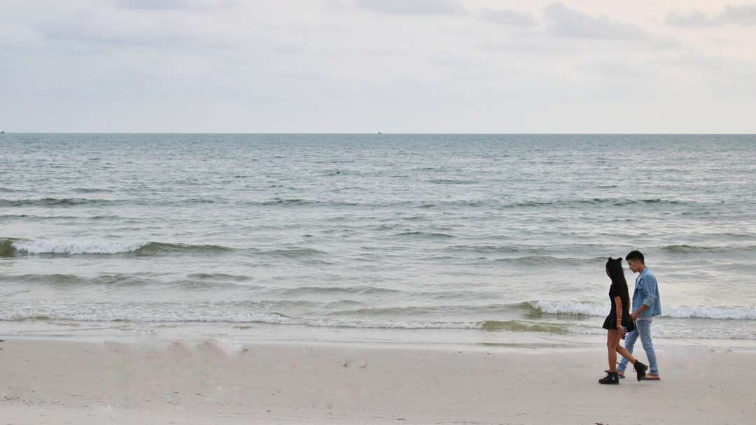 havsvågor som kraschar på stranden under dagtid pussel på nätet