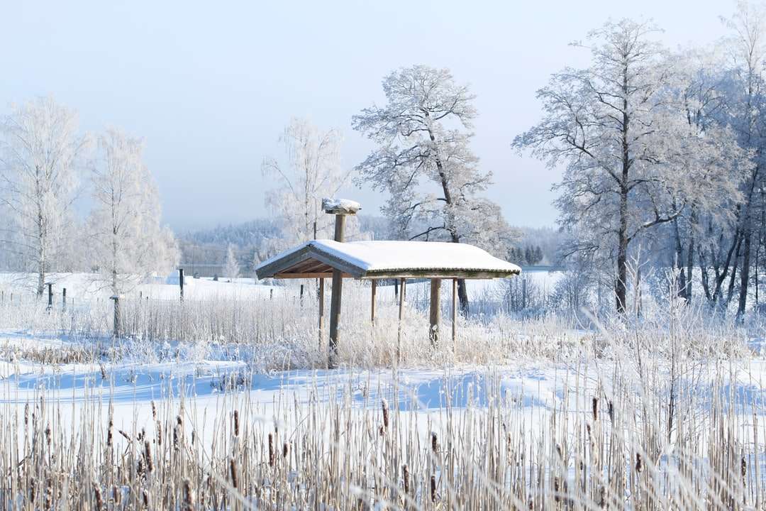 昼間の雪に覆われた地面に茶色の木製ガゼボ ジグソーパズルオンライン