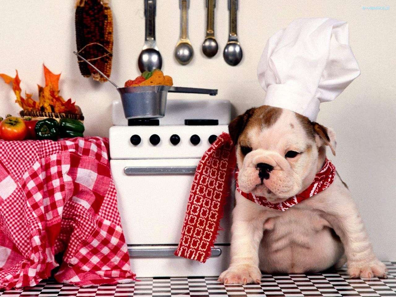 маленькая собачка на кухне пазл онлайн