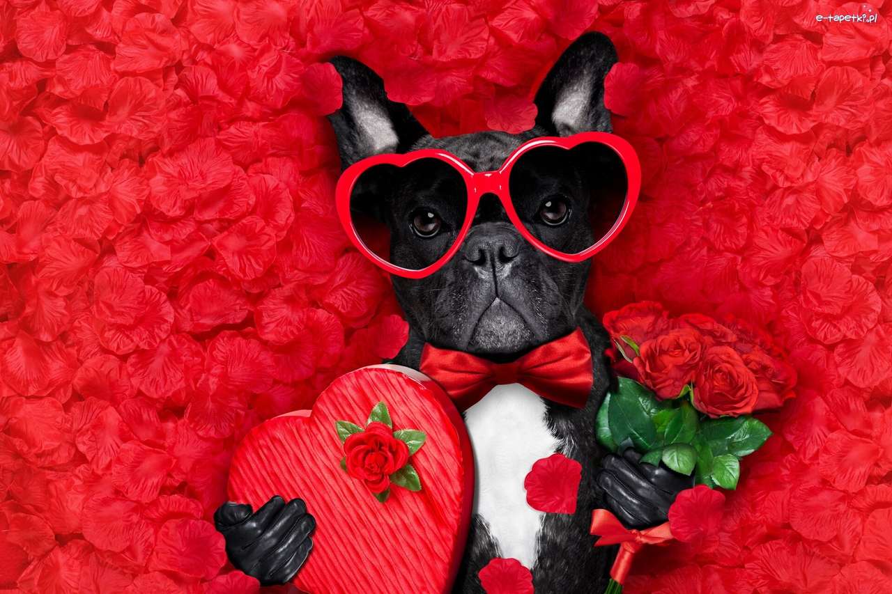 Valentijnsdag hond online puzzel