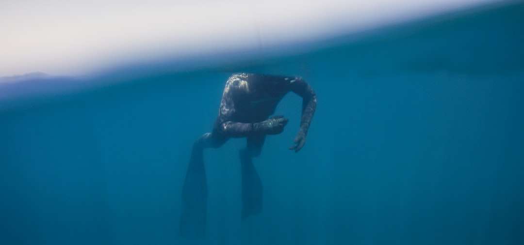 человек в черном гидрокостюме плавает в море онлайн-пазл