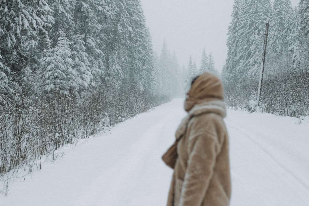 άτομο σε καφέ παλτό περπάτημα σε χιονισμένο μονοπάτι online παζλ