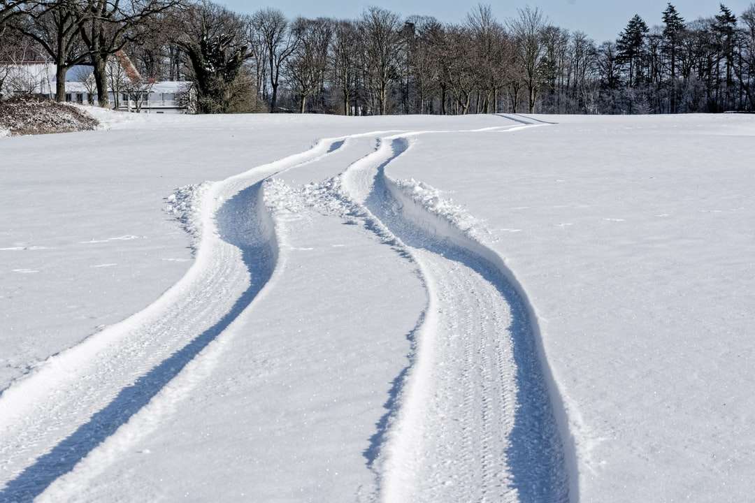 strada coperta di neve durante il giorno puzzle online