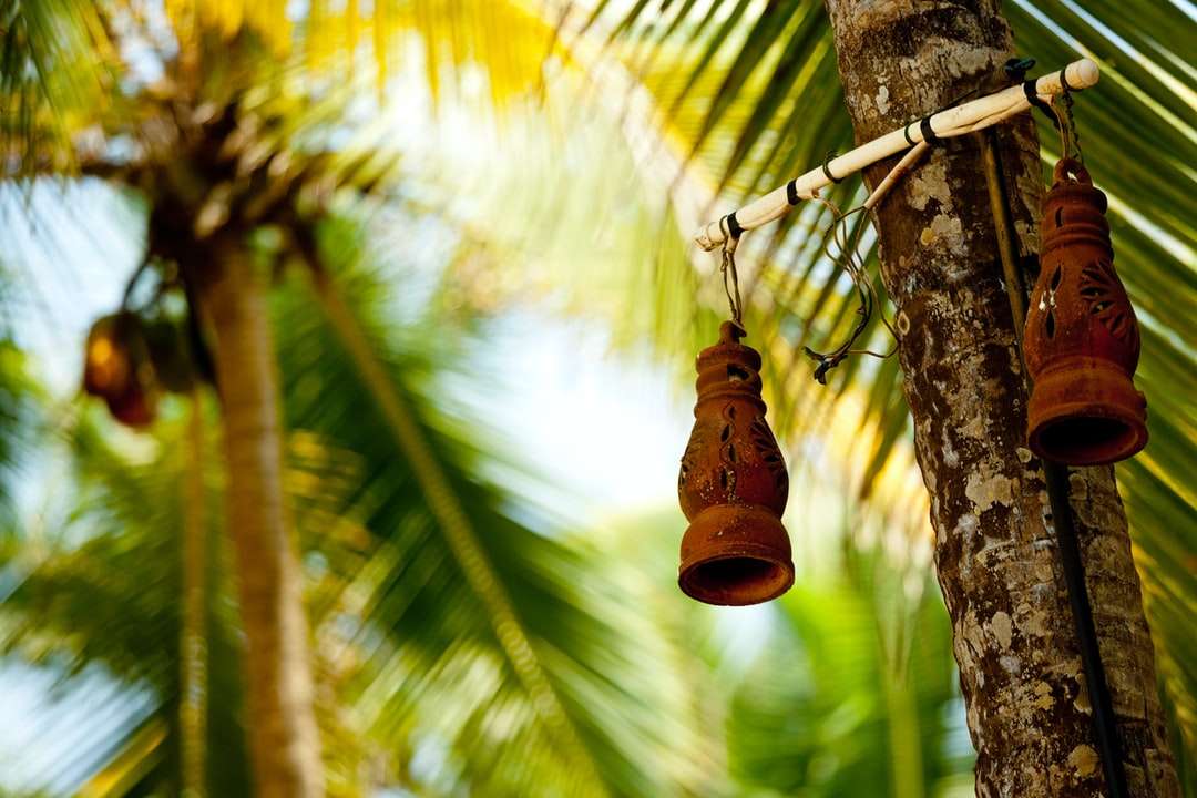 коричнева лампа висить на гілці дерева в денний час пазл онлайн