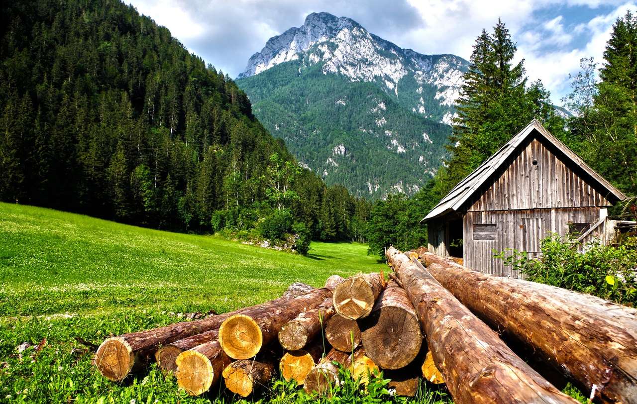 ξύλινο καταφύγιο στο δάσος online παζλ