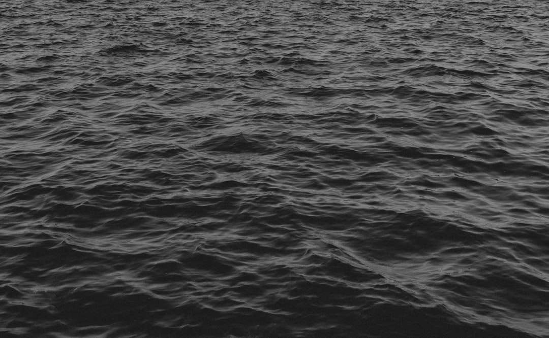 gråskalefoto av vattnet Pussel online