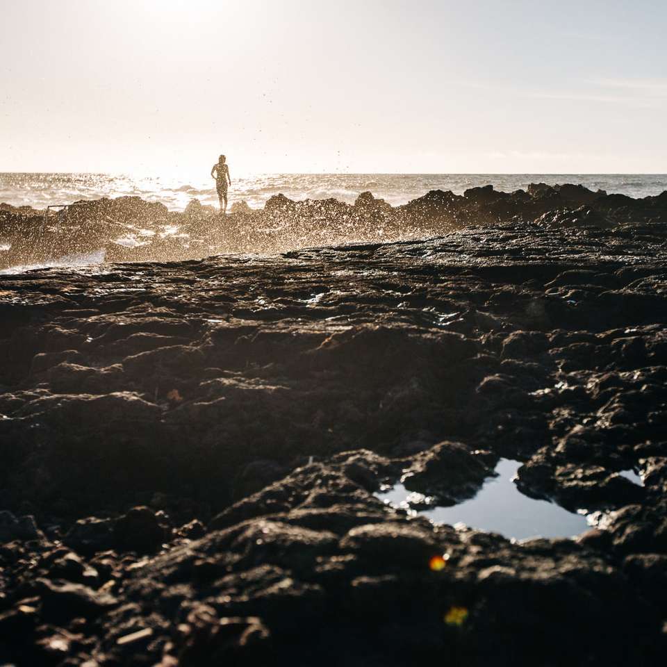 άτομο που στέκεται πάνω σε σχηματισμό βράχου μπροστά από το νερό του ωκεανού online παζλ