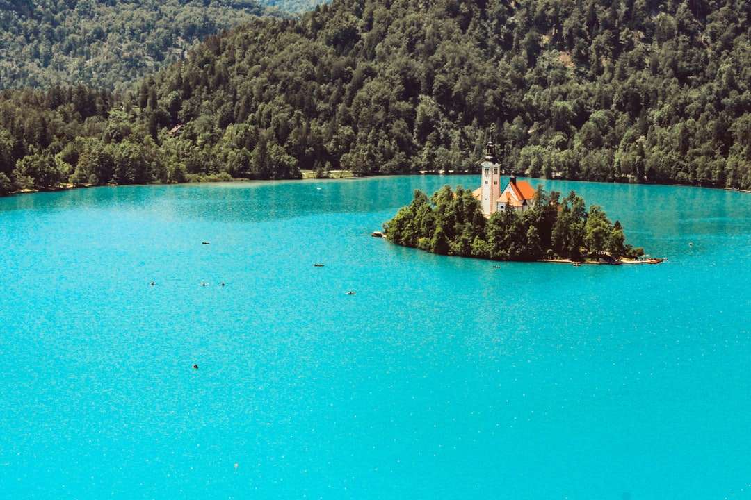 barca albă pe apă albastră lângă copaci verzi în timpul zilei puzzle online