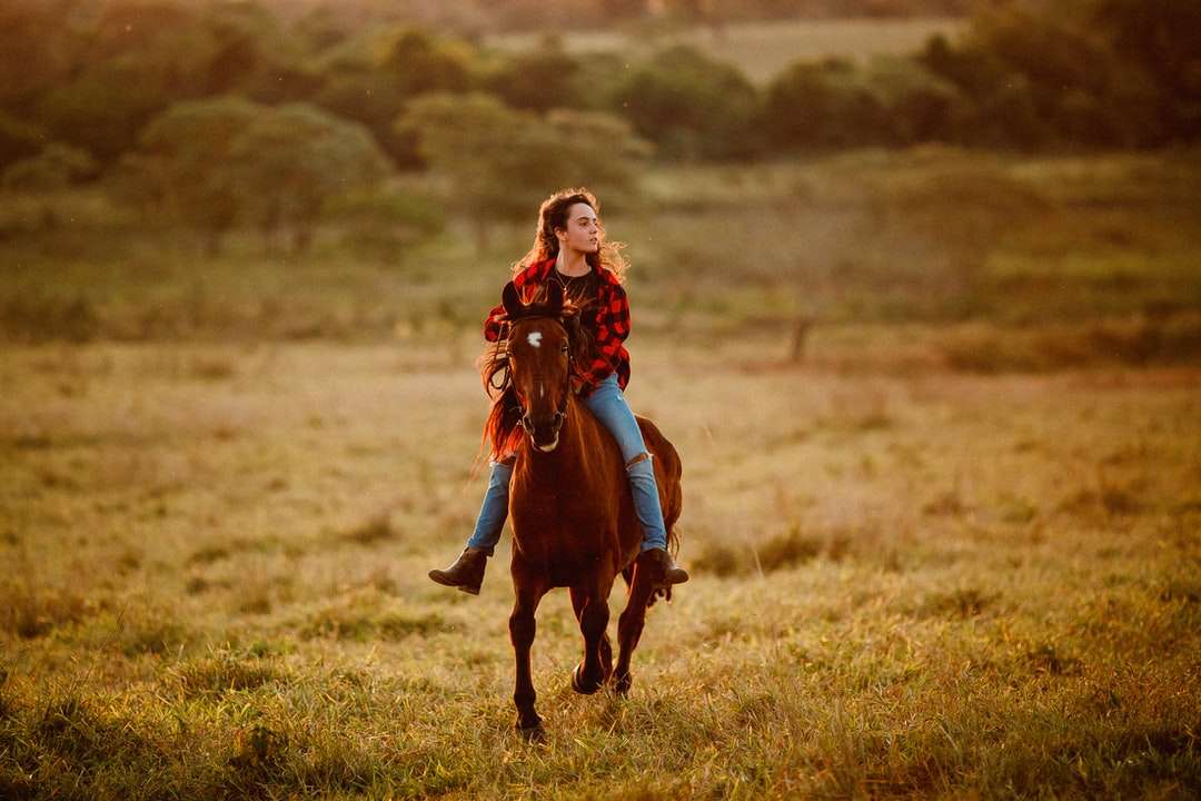 garota de jaqueta vermelha e calça marrom montando cavalo marrom quebra-cabeças online