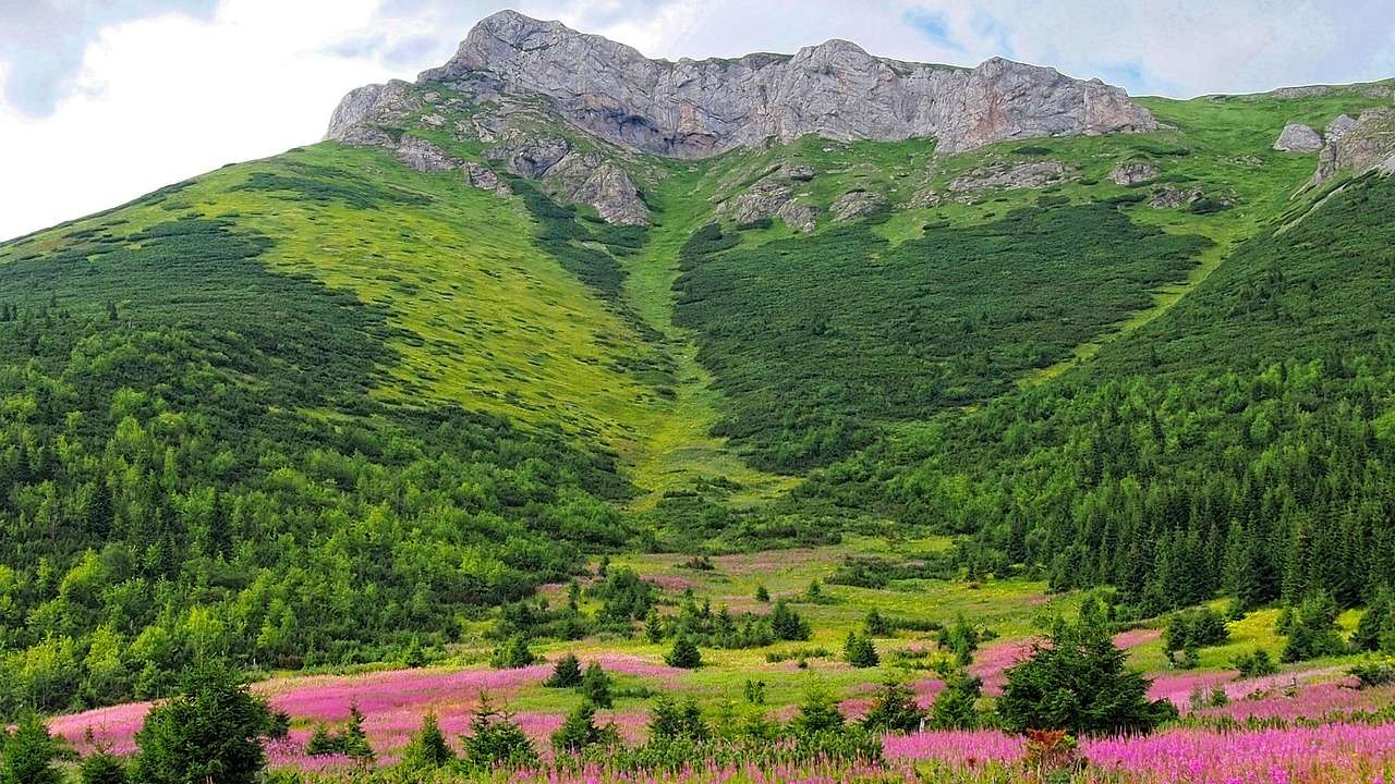 Landschap in Slowakije online puzzel