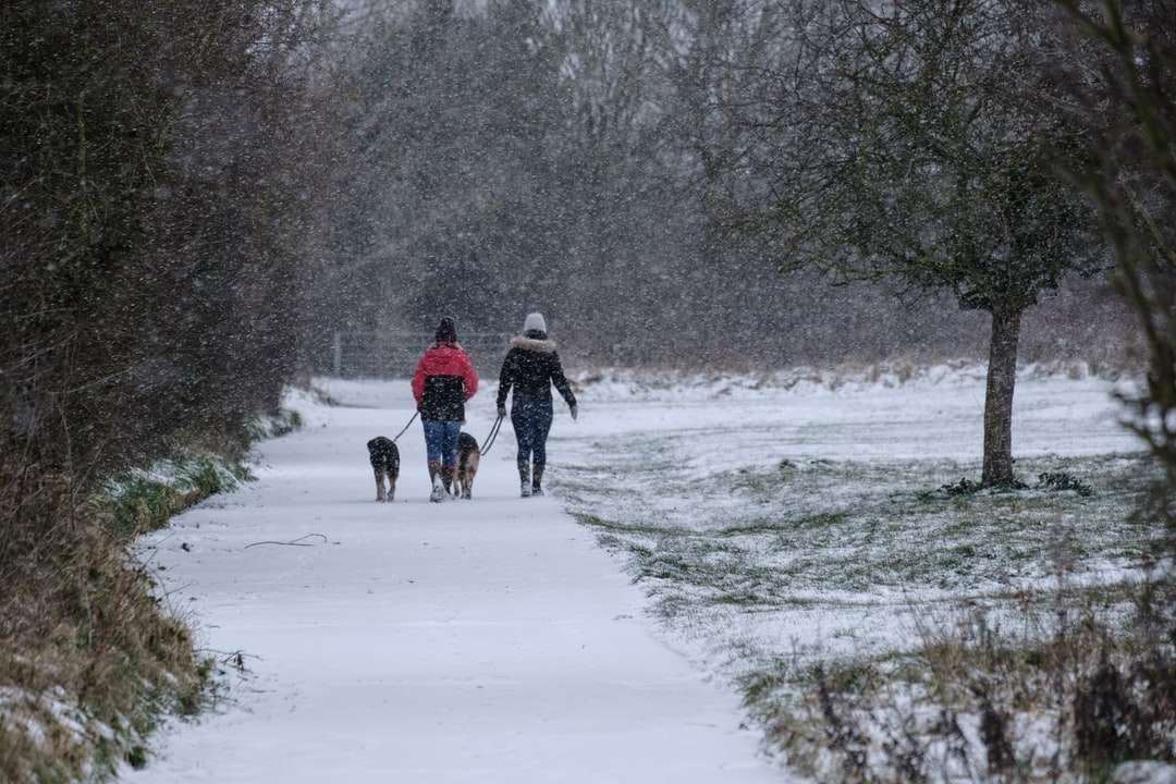 2 personas caminando sobre el campo cubierto de nieve durante el día rompecabezas en línea
