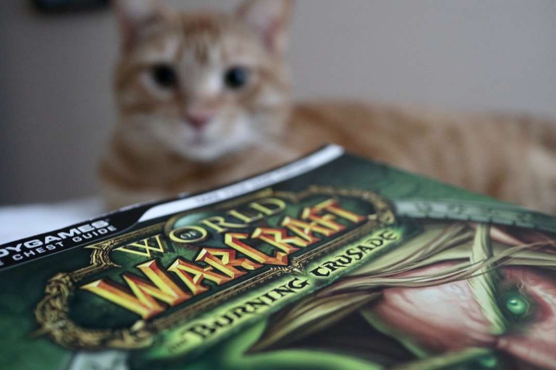 gato malhado marrom em tecido verde e branco quebra-cabeças online