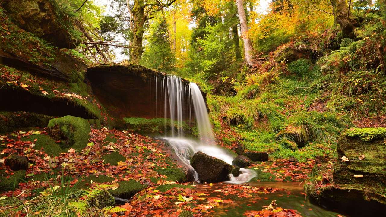 mossiga träd och stenar, ett vattenfall Pussel online