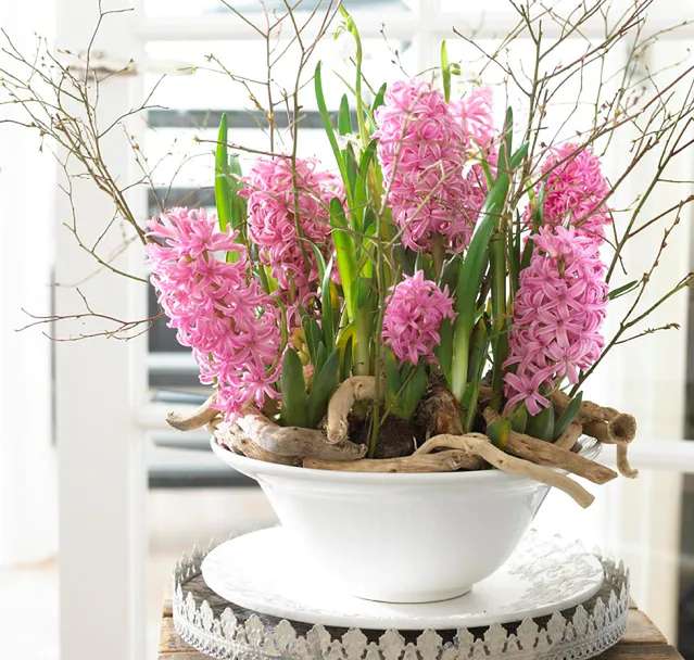 roze hyacinten online puzzel