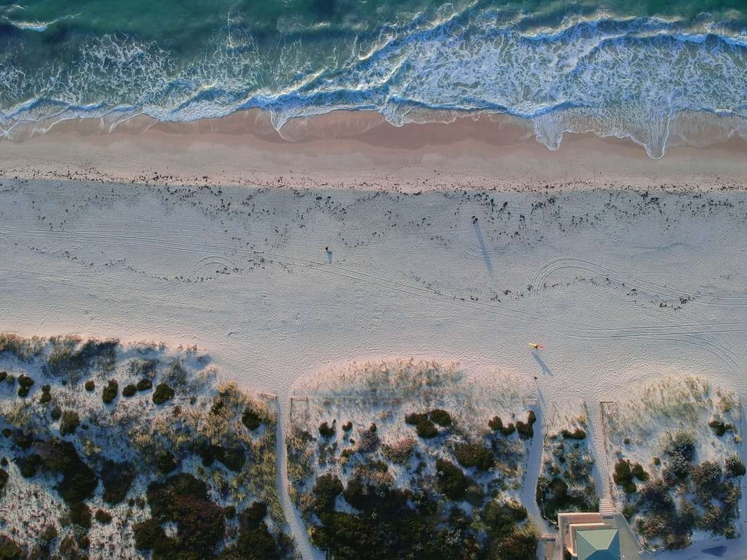 вид с воздуха на пляж в дневное время онлайн-пазл
