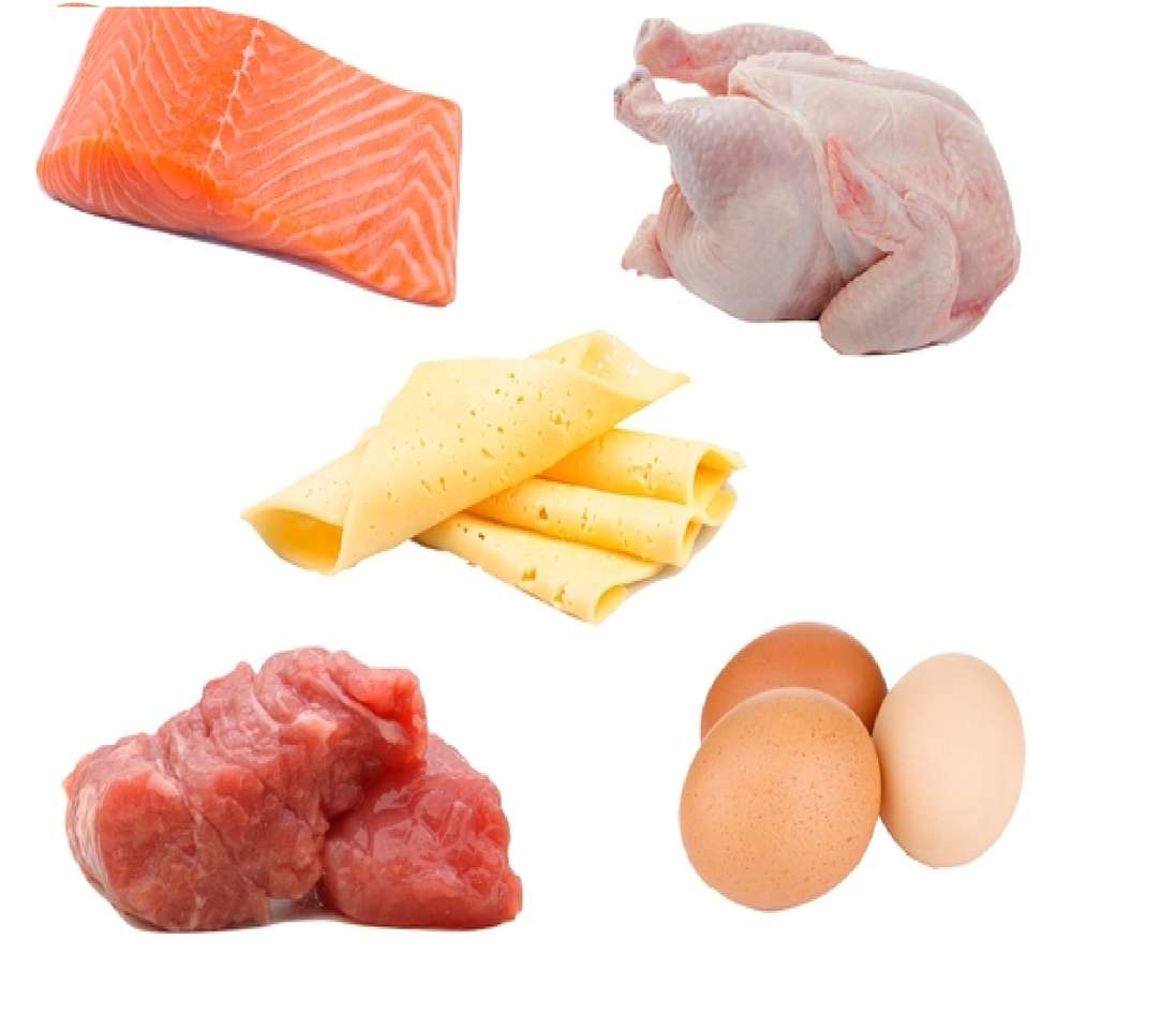 DIFFERENT TYPES OF ANIMAL PROTEIN ' jigsaw puzzle online