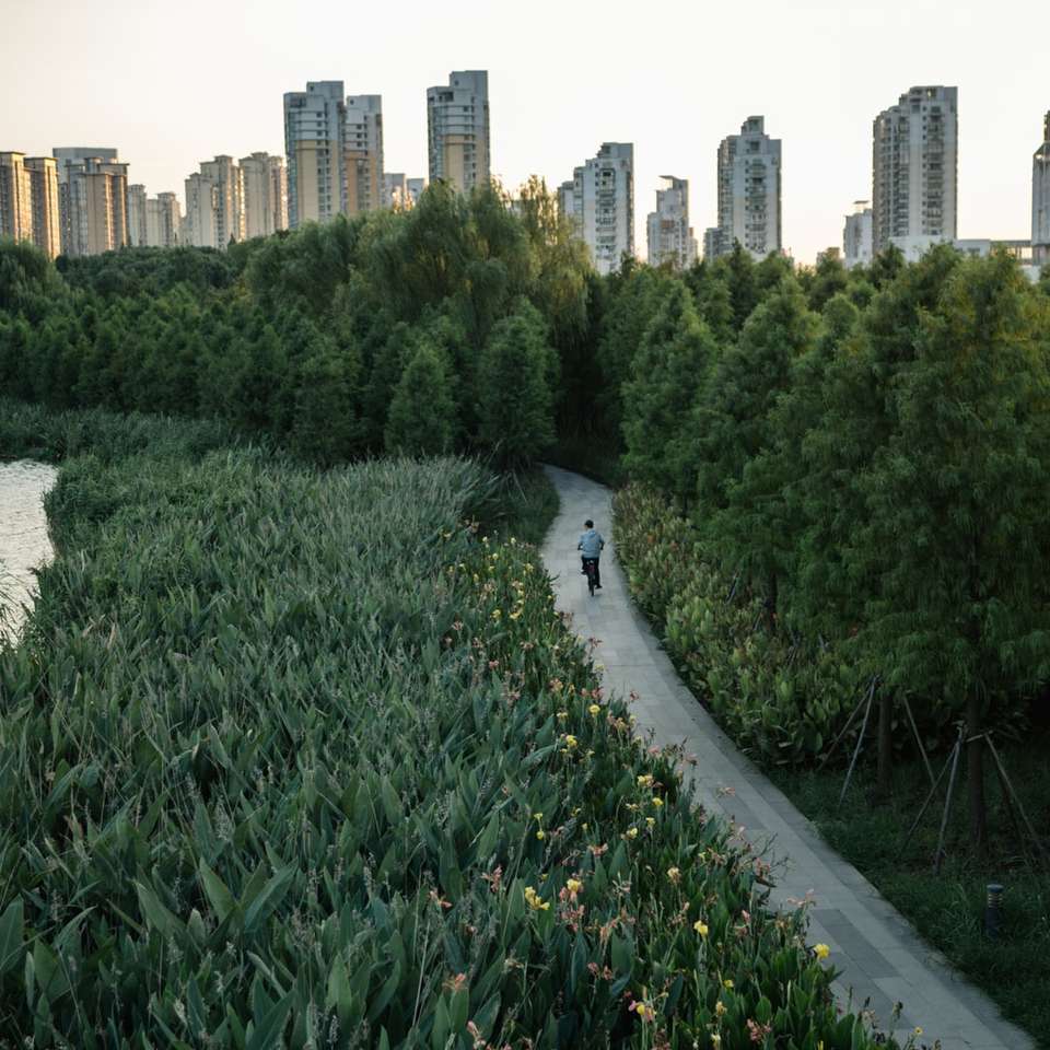 fält för grönt gräs nära stadsbyggnader under dagtid Pussel online