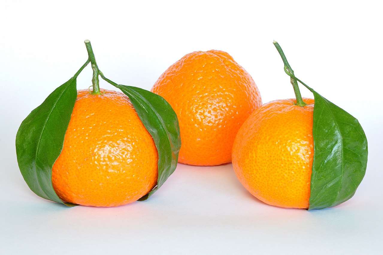 Mandarina (planta) rompecabezas en línea
